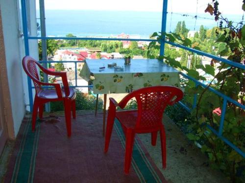 Сочи: Guest House u Olgi