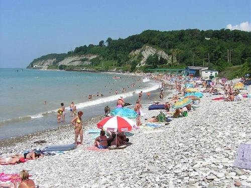 Сочи: Guest House Vatutina 6
