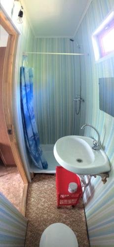 Сочи: Guest House Vatutina 6
