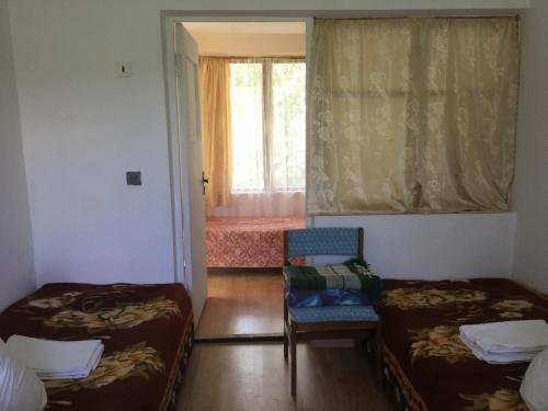 Сочи: Guest House Vatutina 6