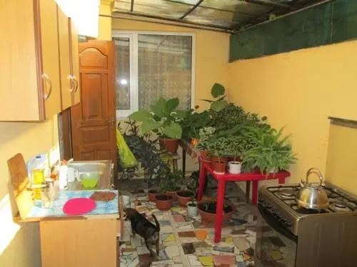 Сочи: Guest House Veterok