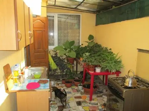 Сочи: Guest House Veterok