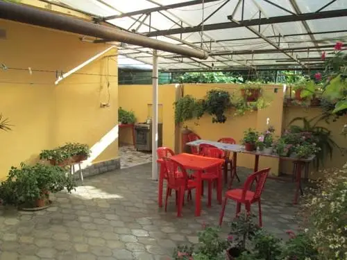 Сочи: Guest House Veterok