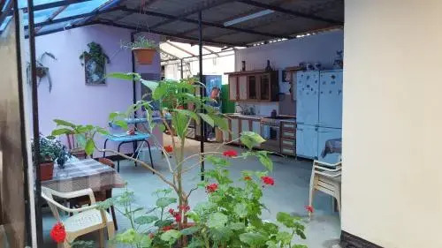Сочи: Guesthouse Iraida