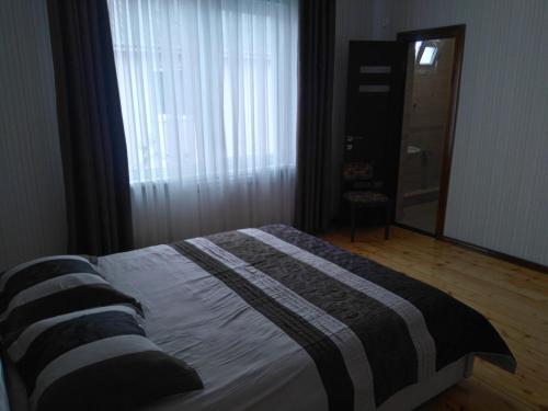 Сочи: Guesthouse Mimoza
