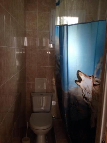 Сочи: Guesthouse on Tsiolkovskogo Street 43