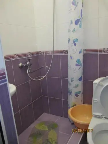 Сочи: Guesthouse Yuzhny Veterok