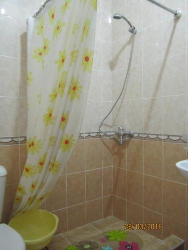 Сочи: Guesthouse Yuzhny Veterok