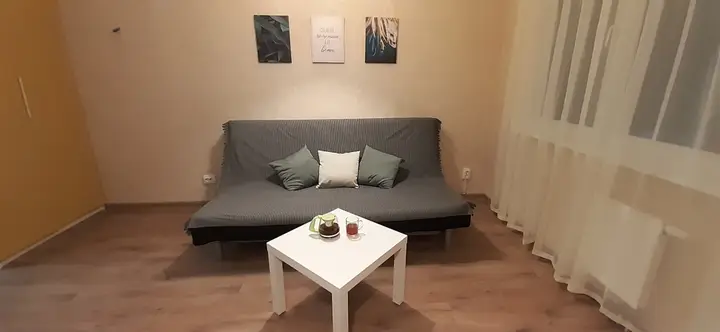 Нижний Новгород: Квартира Студия 26,7 м² 2 Кровати