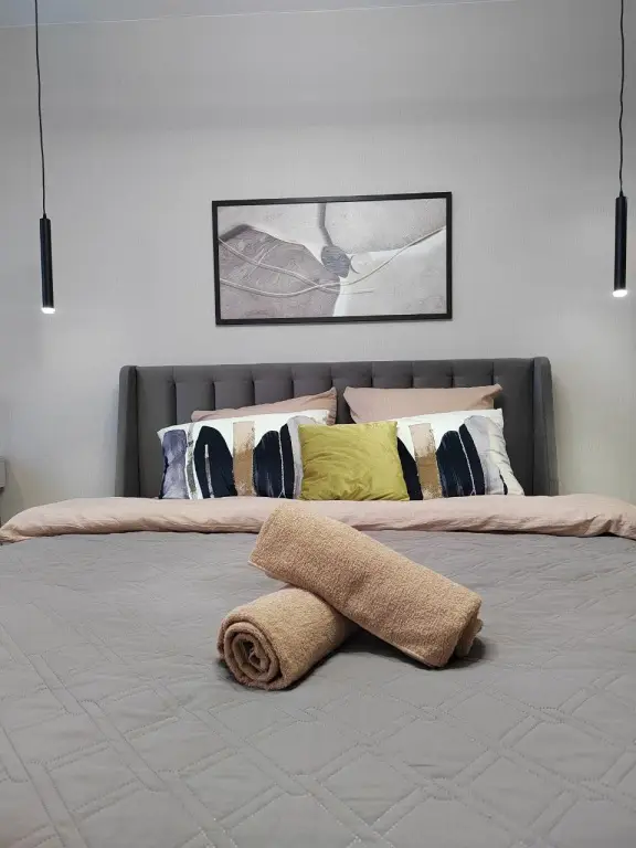 Нижний Новгород: Квартира 1К 42 м² 2 Кровати