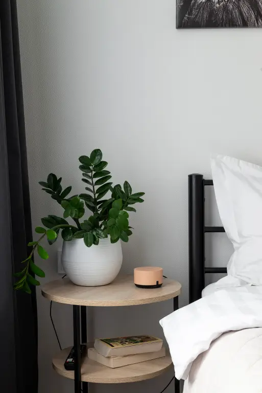 Санкт-Петербург: Квартира с уютом и комфортом в номов доме у метро Балтийская