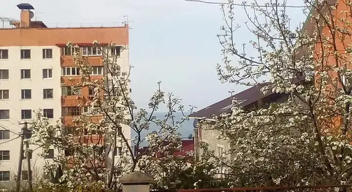 Сочи: На Ахуне