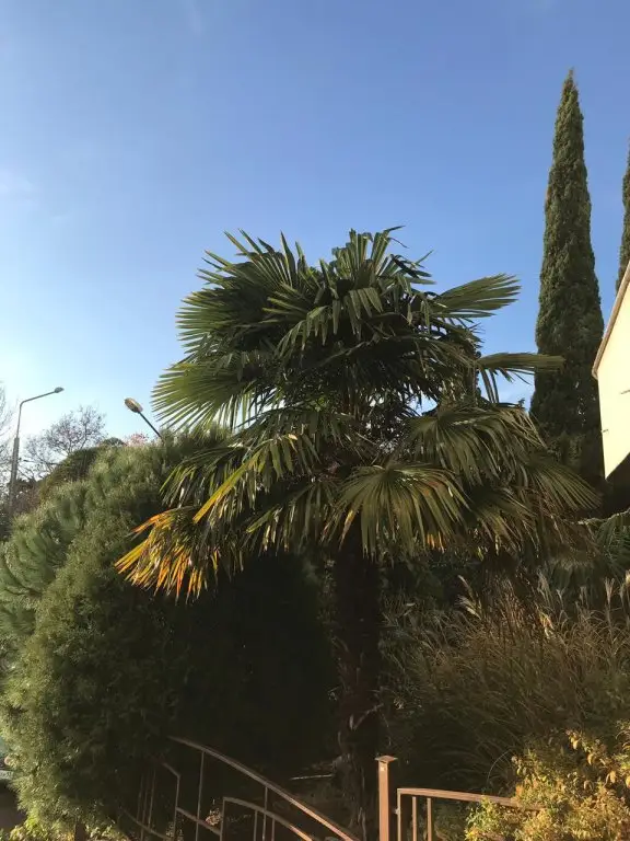 Сочи: Sunny Sochi Hostel