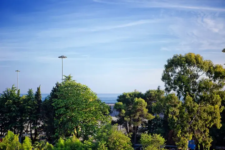 Сочи: Uyutny Dvorik Hotel