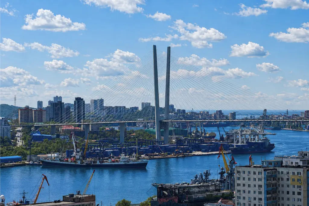Владивосток: Квартира Уютная двухкомнатная квартира с шикарным видом на Золотой мост