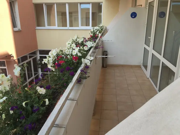 Сочи: Katrin Mini-Hotel