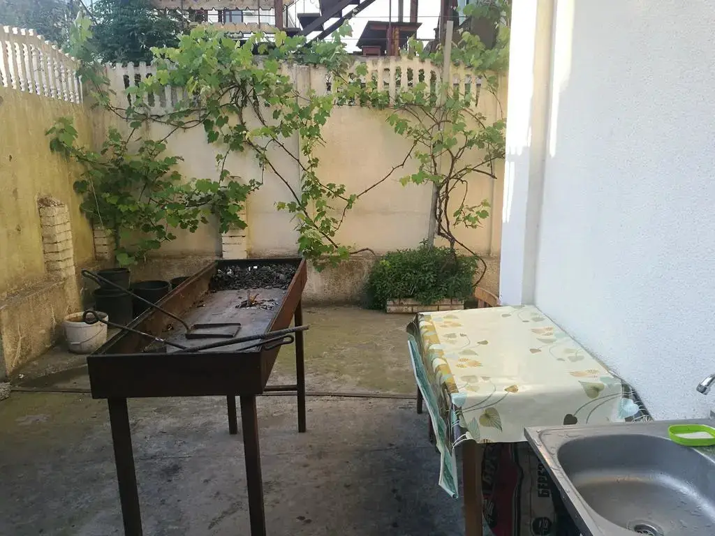 Сочи: Kivi Guest house