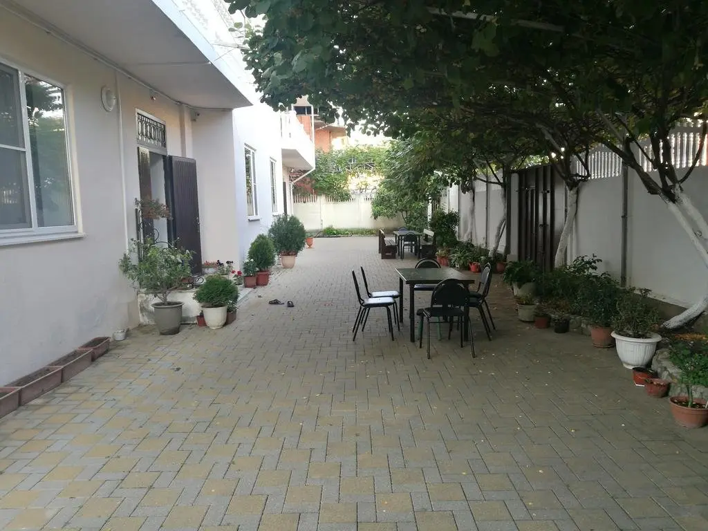 Сочи: Kivi Guest House