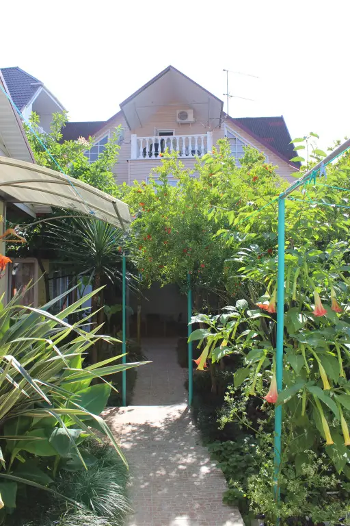 Сочи: Kolibri Guest House
