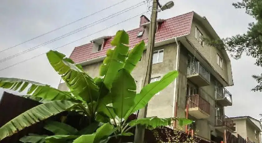 Сочи: Komandor Guest House