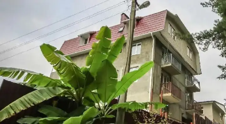 Сочи: Komandor Guest House