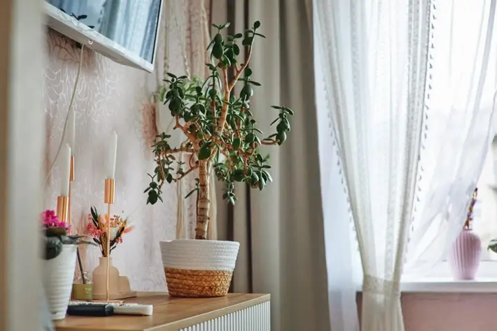 Пушкинские горы: Квартира cемейная с детской комнатой