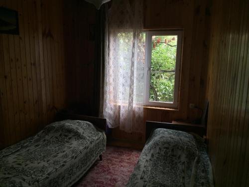 Сочи: Guest House Grusheviy Dom