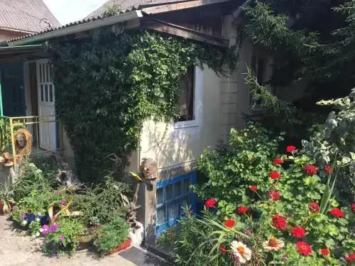 Сочи: Guest House Grusheviy Dom