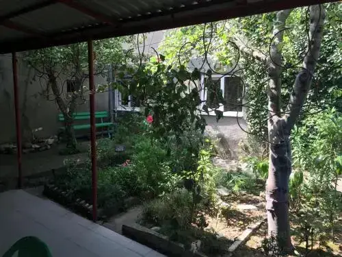 Сочи: Guest House Grusheviy Dom