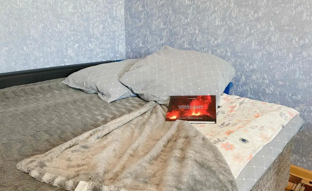 Петропавловск-Камчатский: Квартира на Улице Максутова 36А