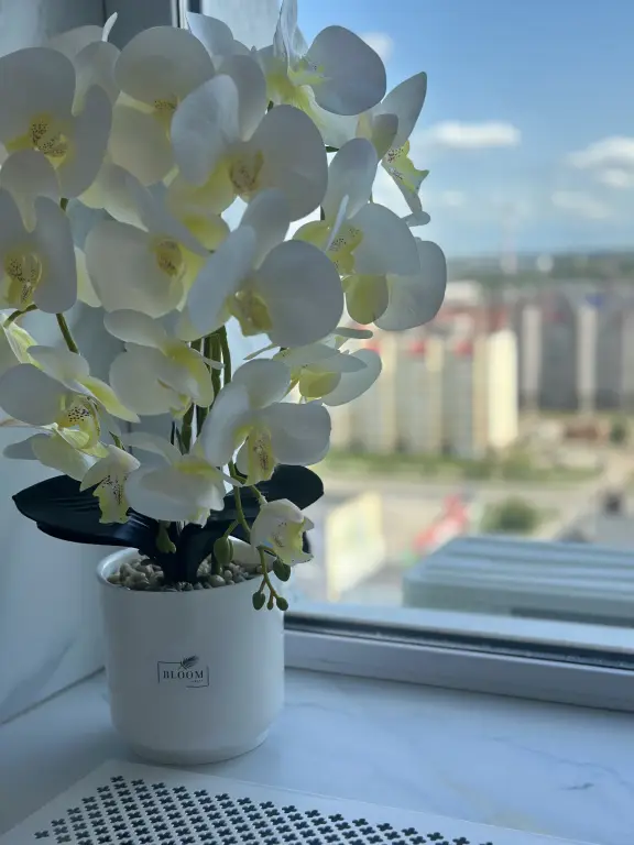Нефтекамск: Апартаменты с джакузи