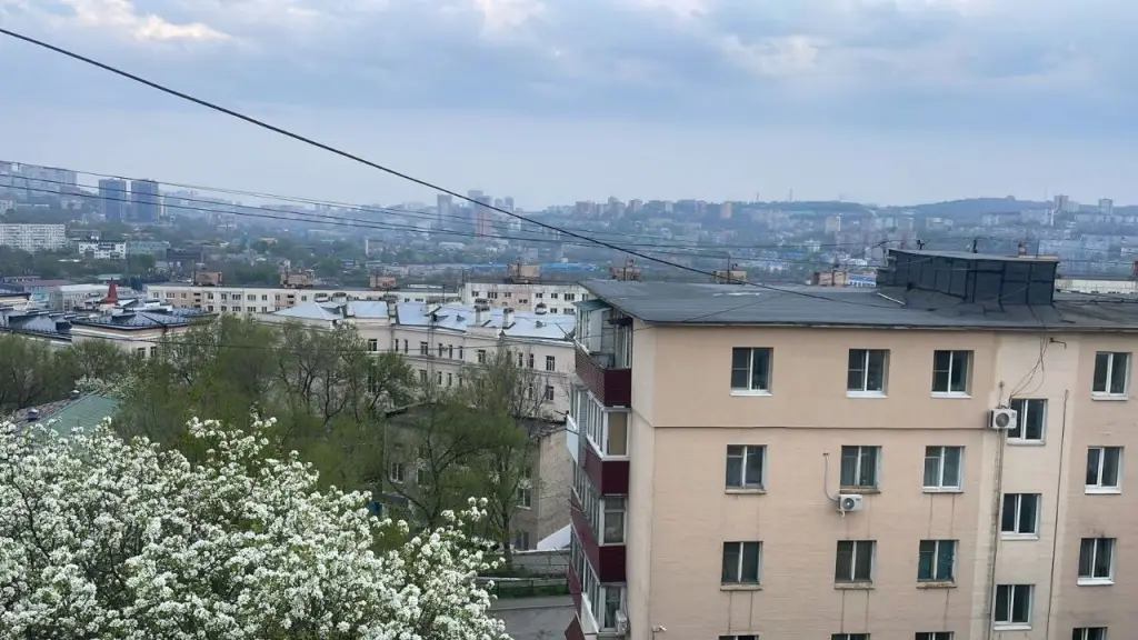 Владивосток: Квартира Уютная студия между центром и Луговой