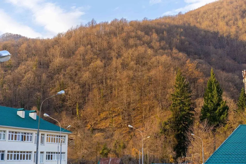 Эсто-Садок: Апартаменты More на Эстонской, 37, к. 4, кв. 165