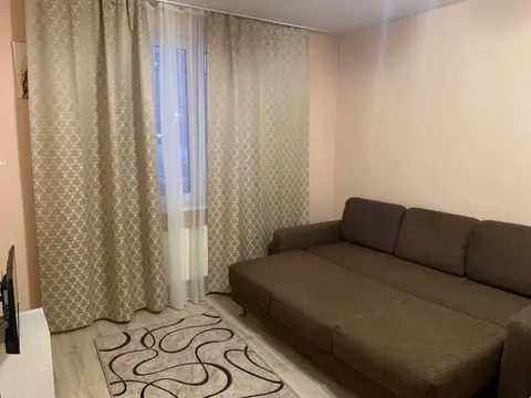 Квартира однокомнатная на улице Курыжова 13 — фото 1