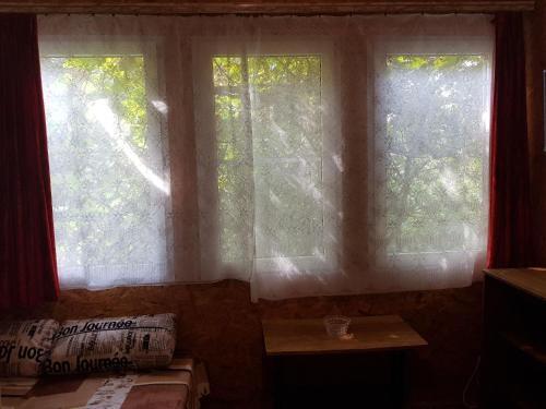 Сочи: Niny Ivanovny Guest house