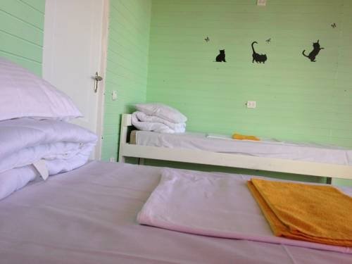 Сочи: Oazis Hostel