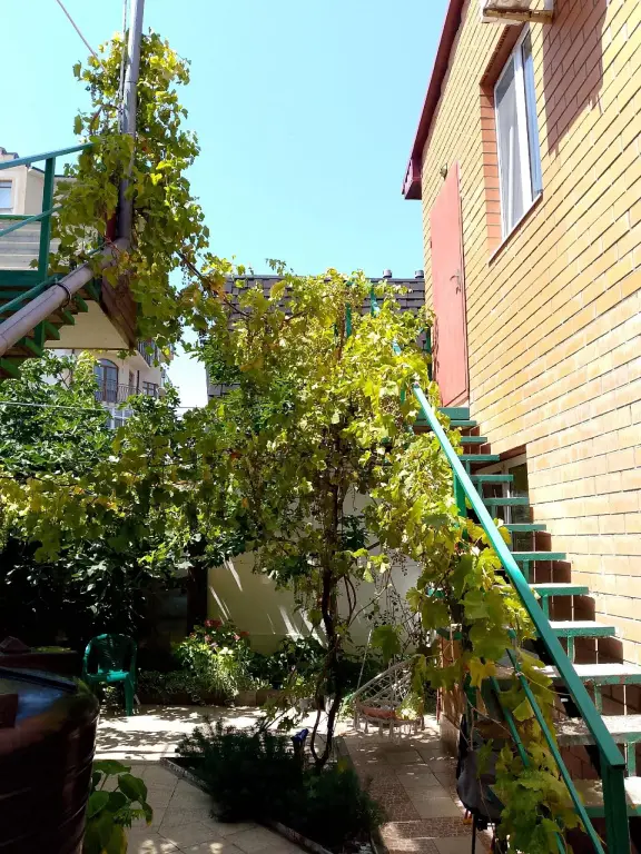 Геленджик: Гостевой дом на Куйбышева 10