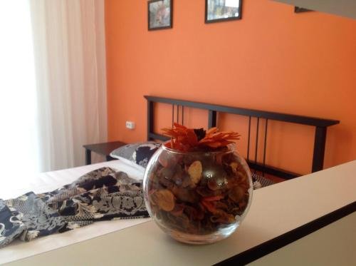 Сочи: Apartment Orange