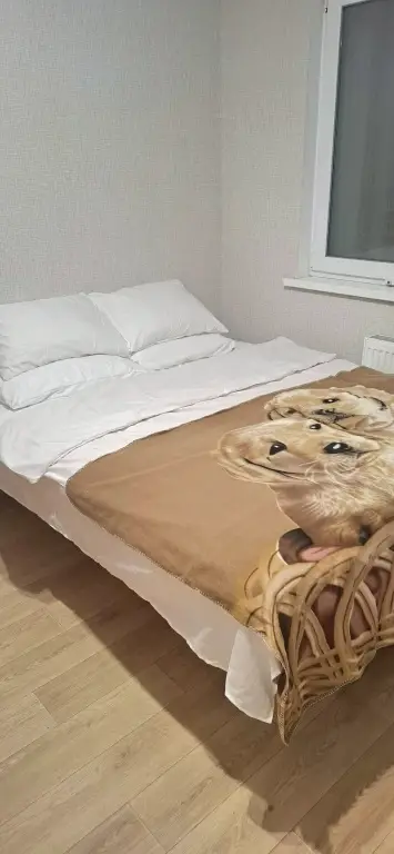 Квартира уютная — фото 1