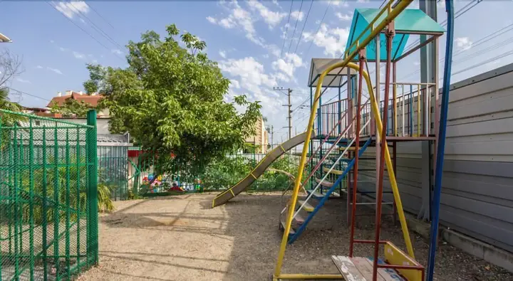 Сочи: Пальма