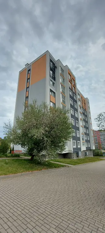 Светлогорск: Квартира с видом на лес