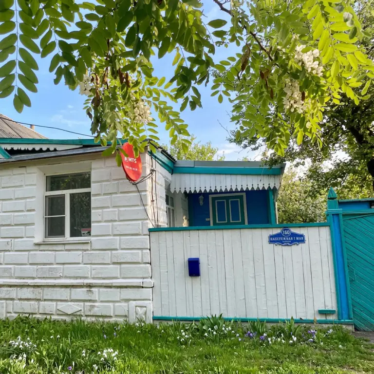 Домик в лотосах — фото 1