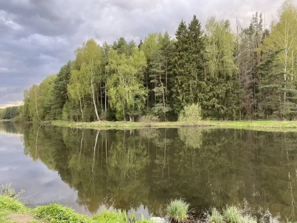 Пушкино: Теремок