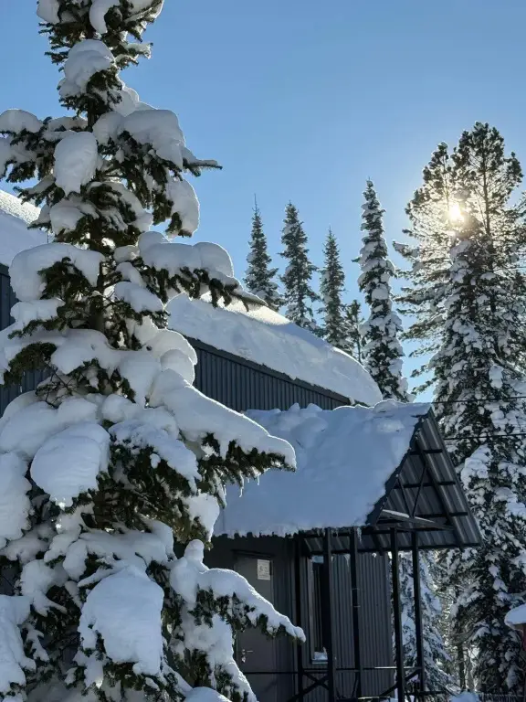 Коттедж FOX HOUSE (Фокс Хаус) на улице Таёжная 33 — фото 1