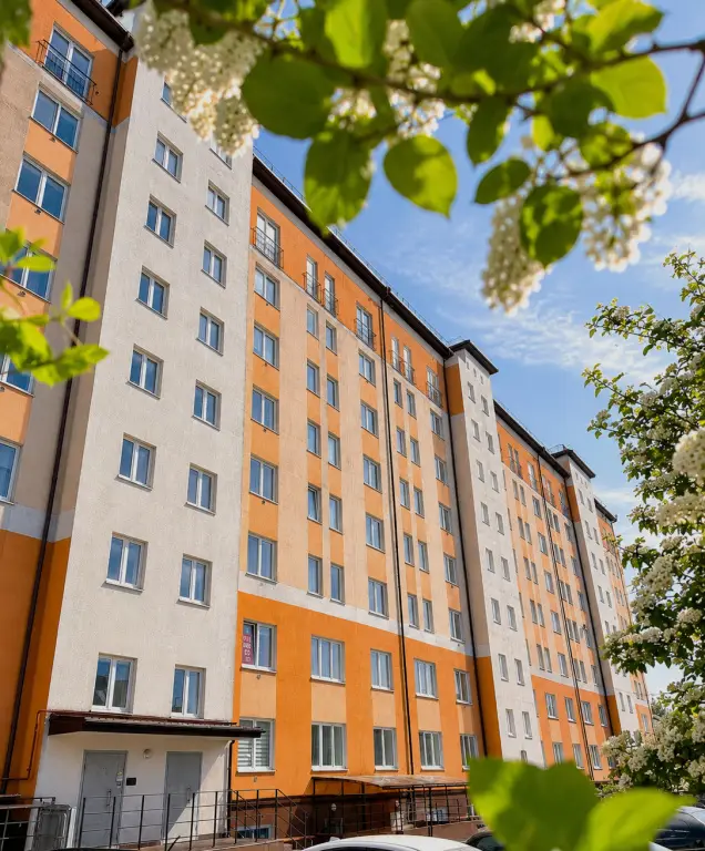 Калининград: Квартира Аригами-Апарт студия Артишок