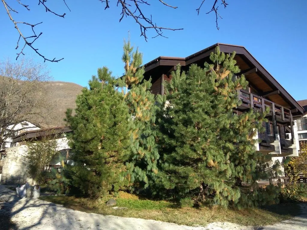 Эсто-Садок: Raduzhny Guest House