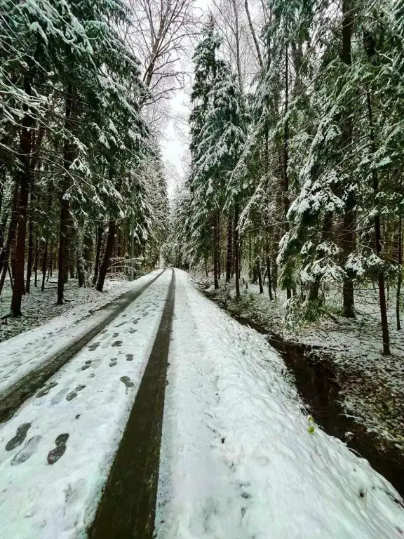 Москва: Дом в заповедной лесной зоне