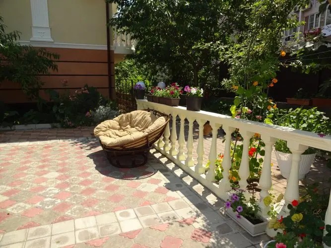 Сочи: Guest house Rodnik