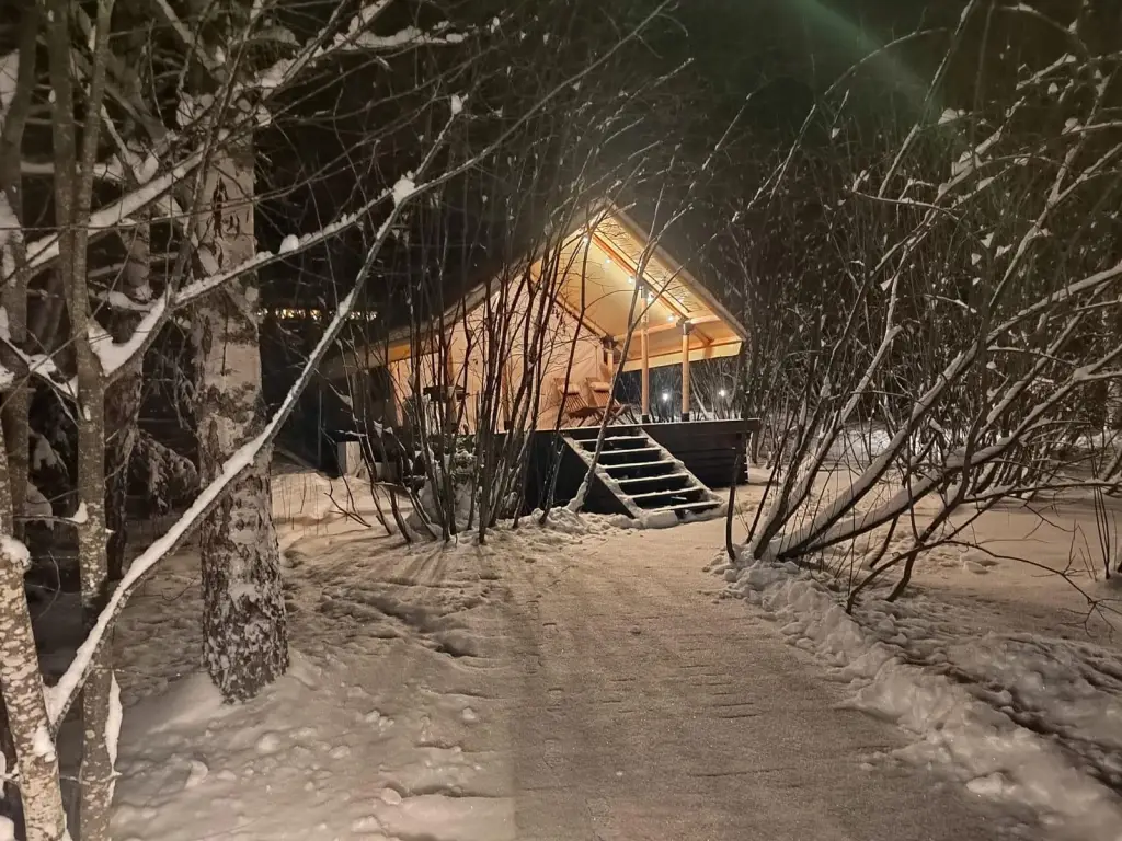 Любытино: Видомлицы