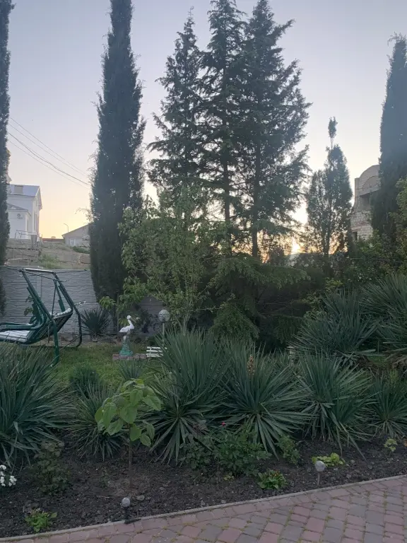 Коктебель: Меблированные комнаты Мечта у моря